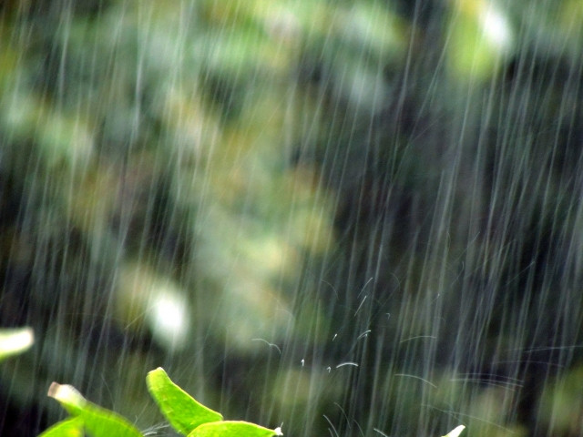 雨が降る屋外